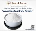 Trenbolone Enanthate Powder ₹ 1,000/Kg